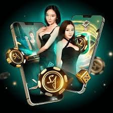 6six login